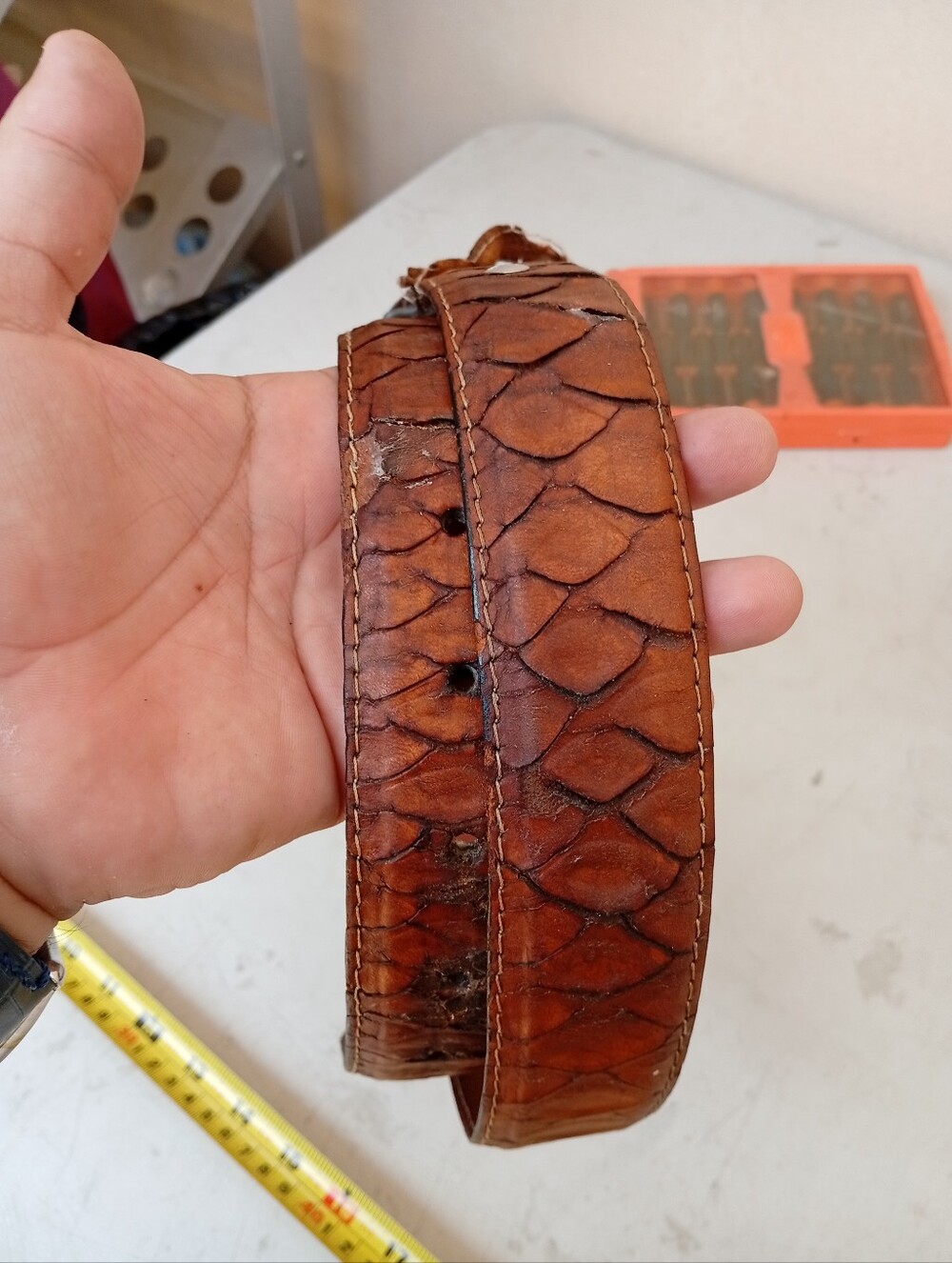 Anteater Leather Men’s Belt